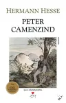 Peter Camenzind vignette