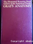 Gray's Anatomy vignette